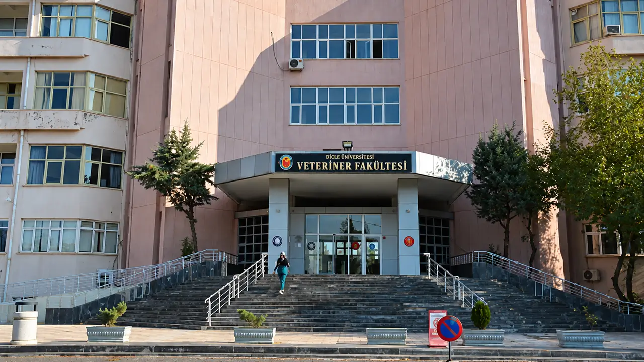 Diyarbakır’da bilimsel çalışma: Tüm buzağılar dişi doğdu