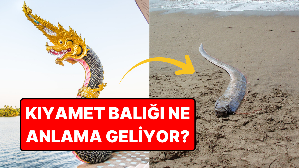 Japon Efsanelerinin "Kıyamet Balığı" Bu Kez Şili'de Karaya Vurdu