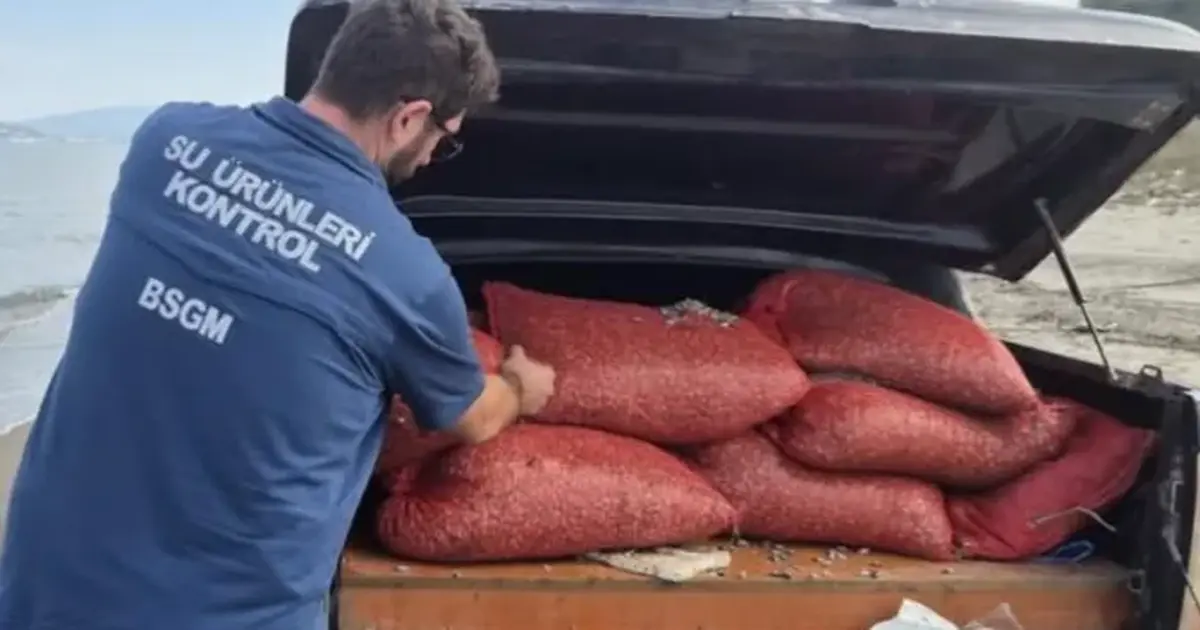 Bursa'da kaçak avcılığa büyük darbe! 2 ton 760 kilogram ele geçirildi