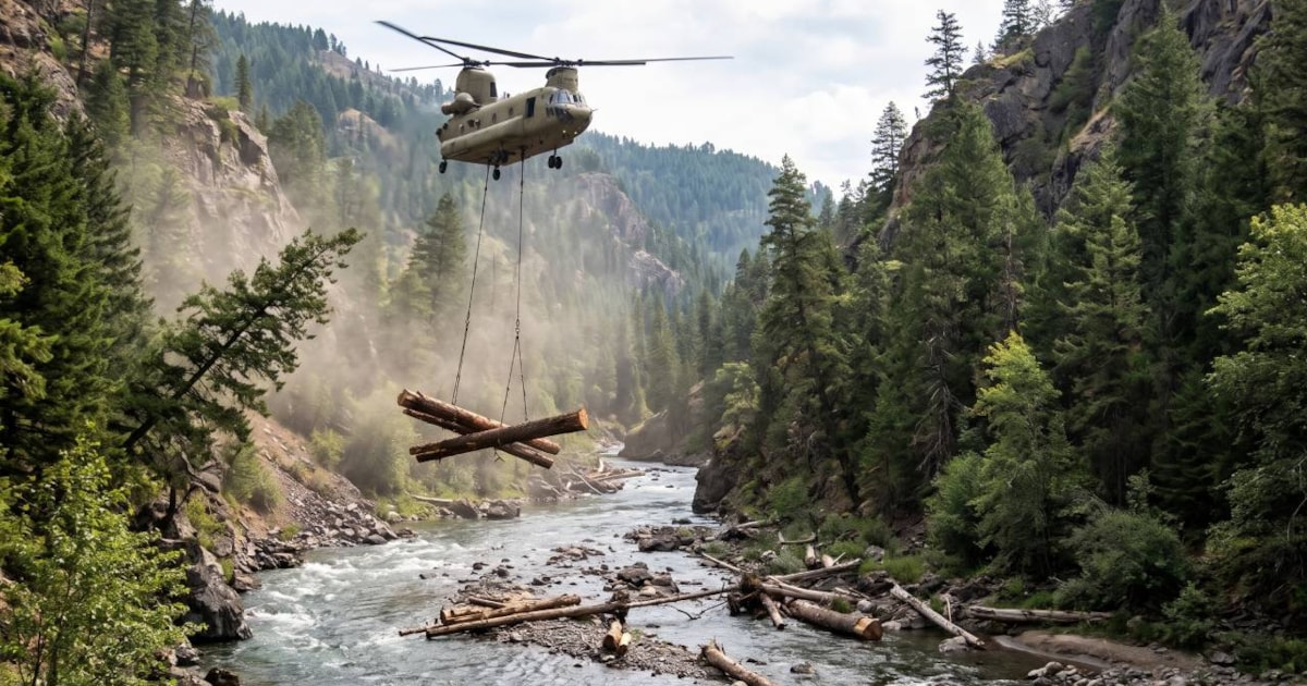 Helikopterle gökyüzünden 6 bin kütük bırakıldı