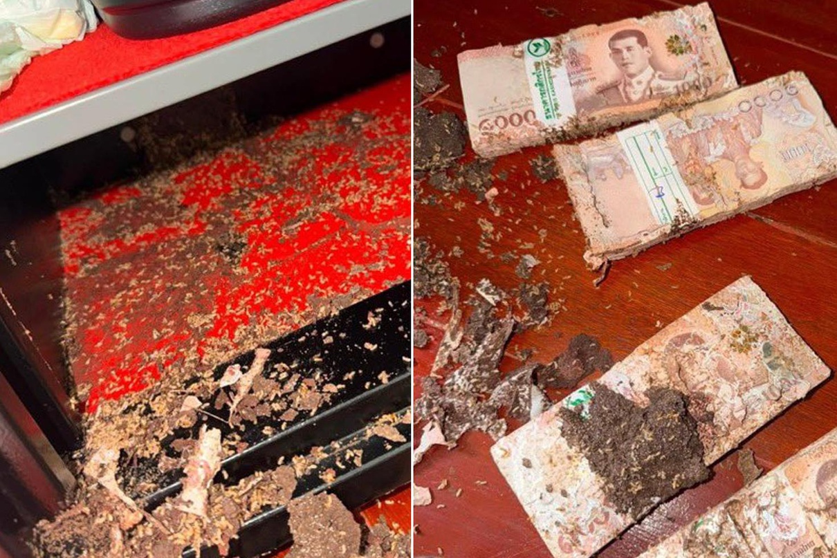 Ne hırsız ne dolandırıcı! Bir servet böyle yok oldu