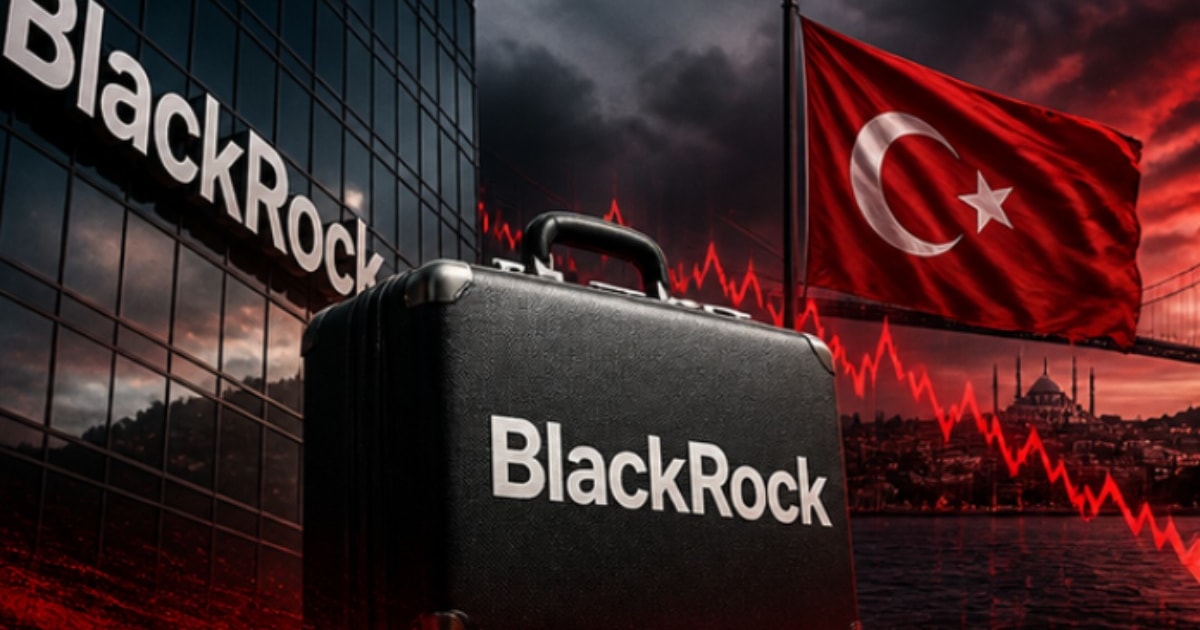 Türkiye'ye gelen dünyanın en büyük fonu 7 ay içinde geri döndü