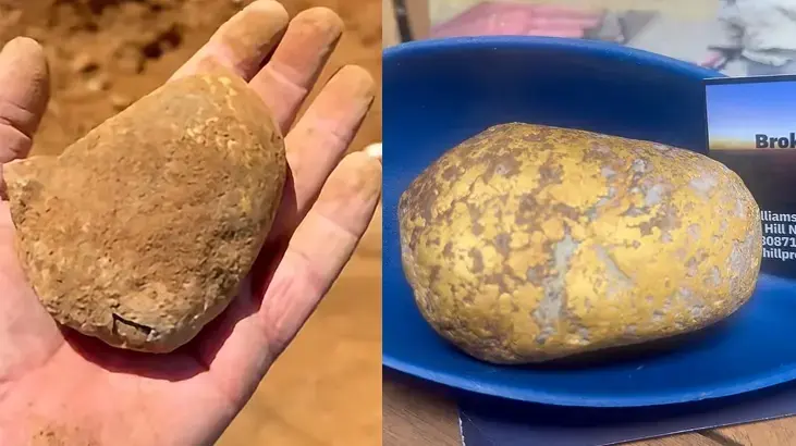 Neredeyse geçip gidiyordu! Patates sandı servet çıktı