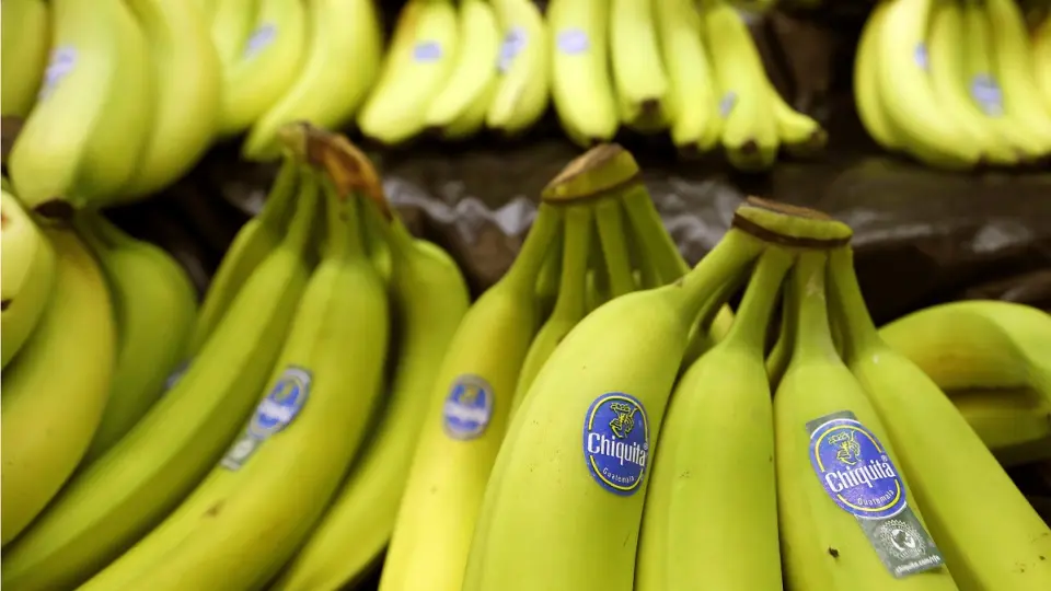 Chiquita, muz fiyatlarının yükselmesini bekliyor