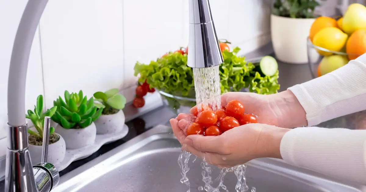 Salmonella endişesiyle çiğ domates servisine yasak