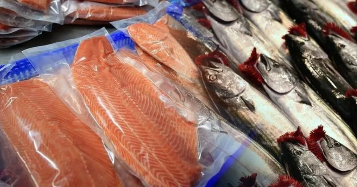 Somon ve palamuttan 10 kat fazla omega-3 içeren 5 besin