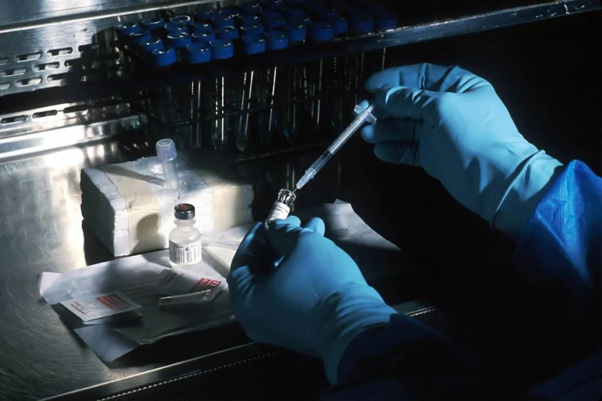 Bilim dünyasında bir ilk: İnsan DNA'sı vücudun içinde düzenlendi