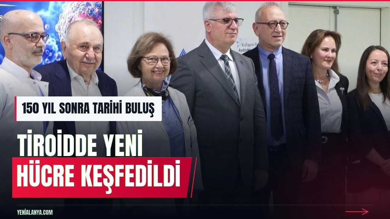 Tiroid bezinde parathormon salgılayan yeni hücre keşfi