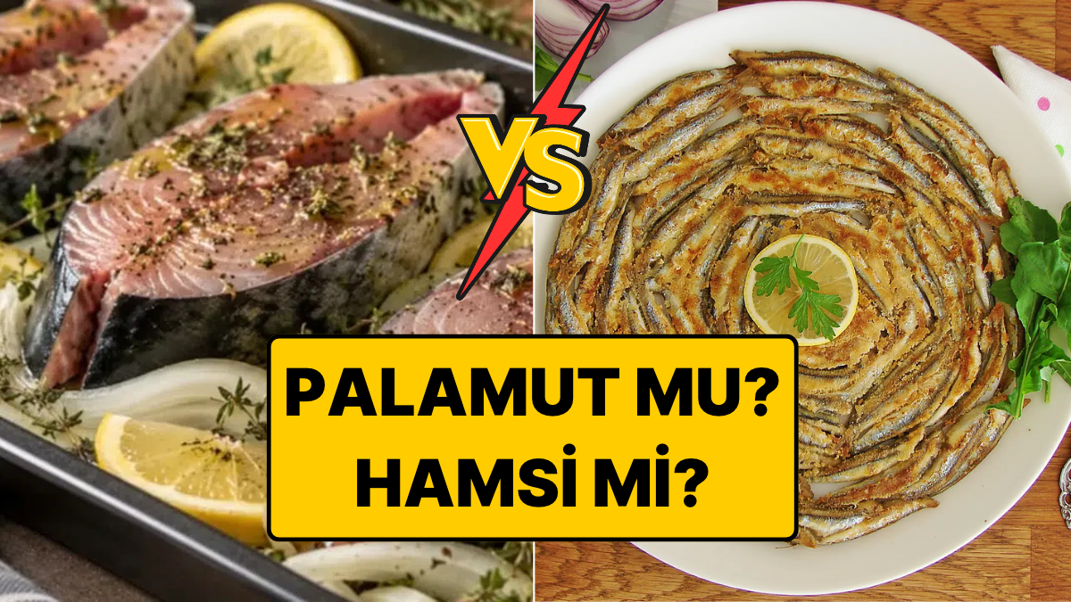 Palamut mu Hamsi mi? Bilim Hangisinin Daha Faydalı Olduğunu Ölçtü