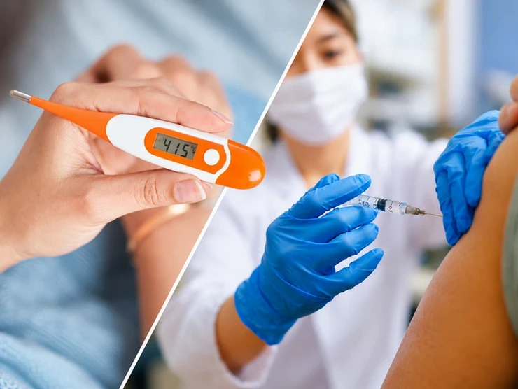 Neden aşı olduktan sonra ateşleniyoruz? Araştırmada Salmonella detayı