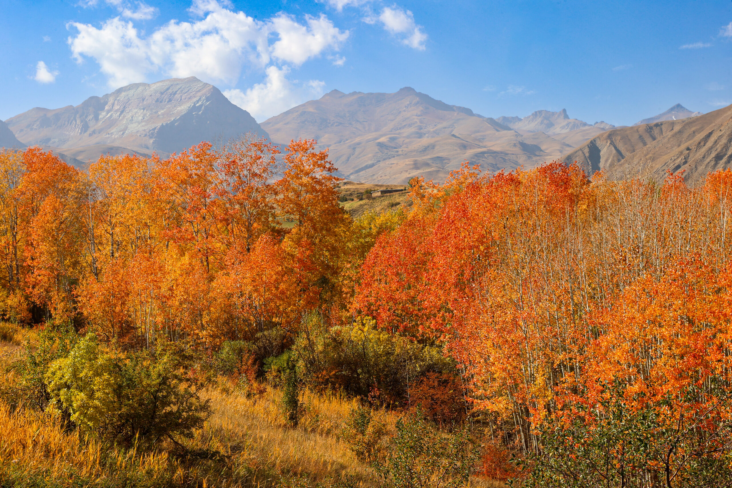Hakkari’de 3 bin 300 rakımlı Berçallan’ın eteklerinde sonbahar renkleri