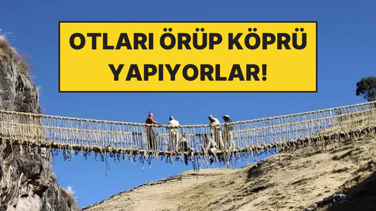 Otları Örüp Köprü Yapıyorlar: Aynı Köprüyü Her Yıl Baştan Kuruyorlar